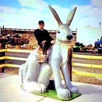 Jason Roth (@lucidjay) 's Twitter Profile