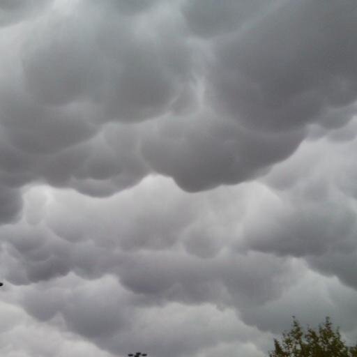 mf0966's profile picture. 