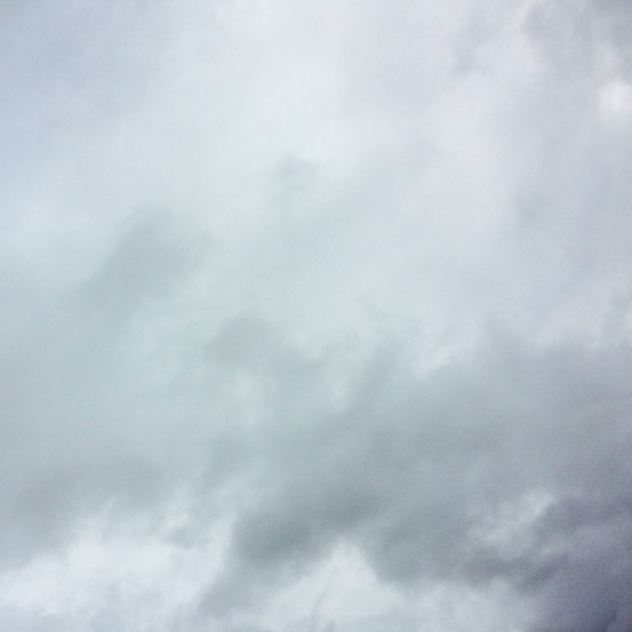 OKailynn's profile picture. I write stories on wattpad, so yeah(: