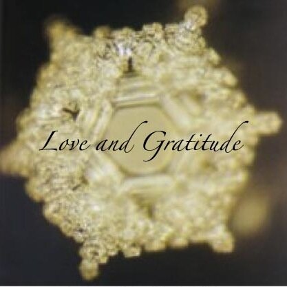 gratitudeh2o's profile picture. Choose to live at a higher vibration. We are a team of metaphysical teachers and Reiki Masters offering guidance to realize the power of the Creator within you.