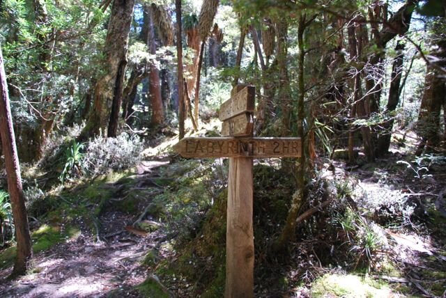 snapper_r's profile picture. 