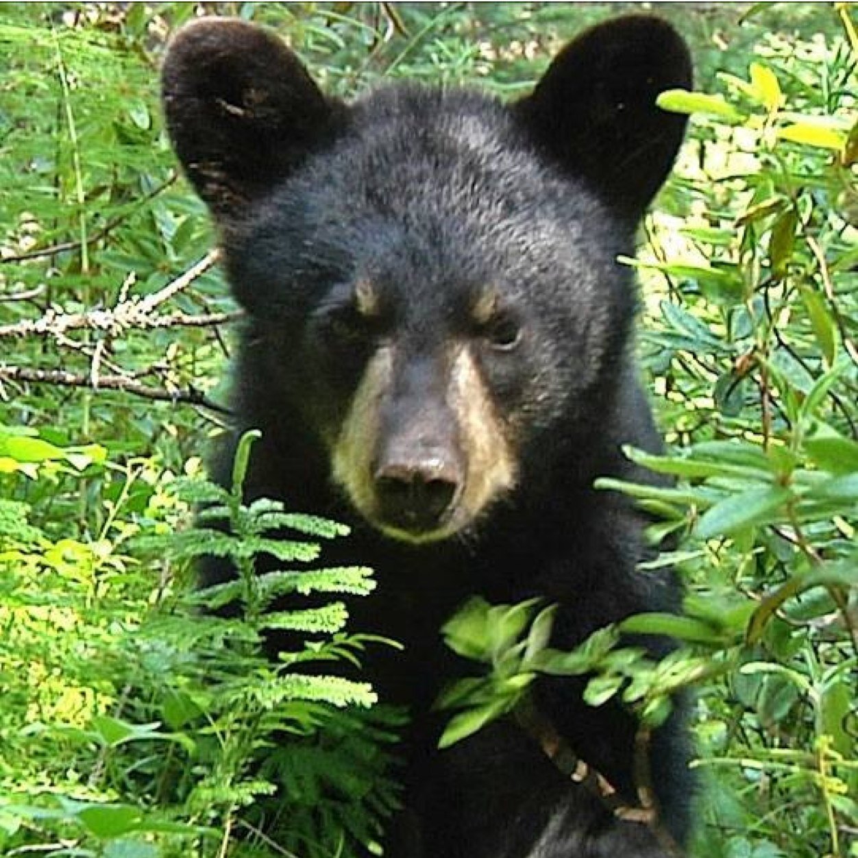 jmiller447's profile picture. 