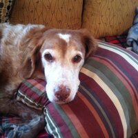 jbgeosat (@jbgeosat) 's Twitter Profile