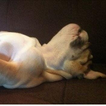 ButlerPassouts's profile picture. Pretty self explanatory. E-mail your passout pics to bupassouts@gmail.com. No affiliation with Butler University or any of its constituents.