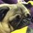 slugbug29's profile image