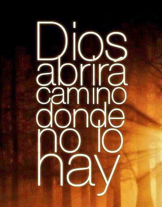 kothanR's profile picture. 