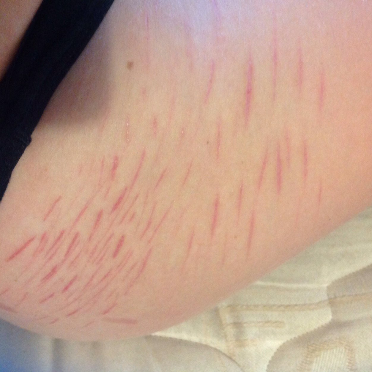 Bitch you did this to me, I will never forgive you. I hope that you get the life you deserve, an absolutely shit one