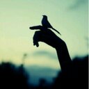 Afnan Al-qahtany (@Anosh_Q) Twitter