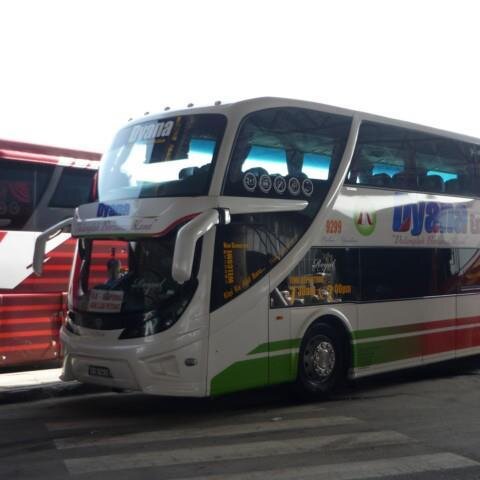 anuaree1's profile picture. 