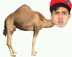 Hidup tanpa kamu itu rasanya 'hambar' kaya makan korma belum mateng gak ada rasanya | Random tweet;;) | #MakanKormaBiarAfdol