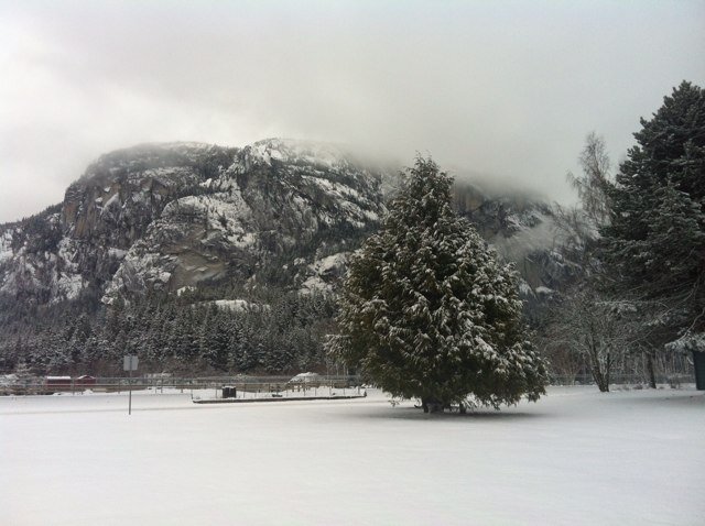 maratooney's profile picture. Mostly just listening! ;)