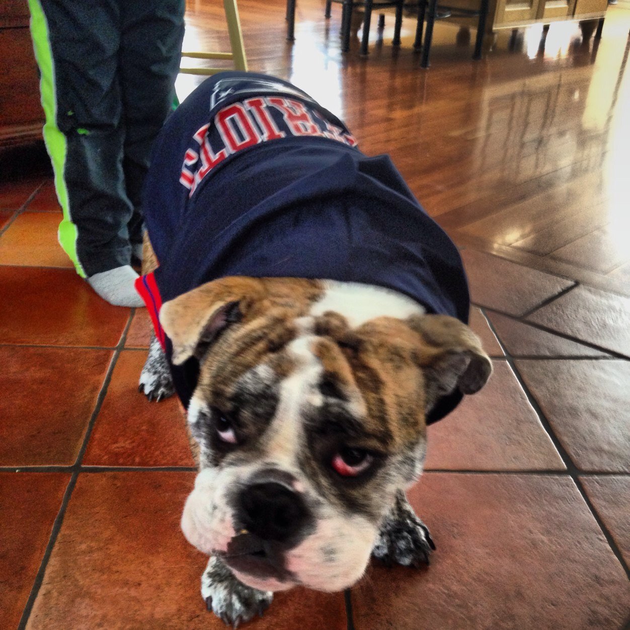 mkinsler6's profile picture. 