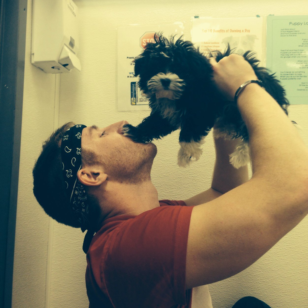 cliermann4's profile picture. Im a Lion. Rawr KM ♡