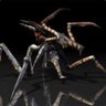 killenbigbugs's profile picture. Gamer, Arachnid, uncle, friend, big boss.
he/him 27