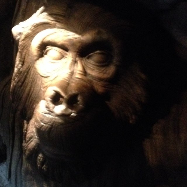 Daily_prepper's profile picture. We live, breathe, and dream of prepping and ways of improving our preps. Always open for advice and willing to go the extra mile when shtf