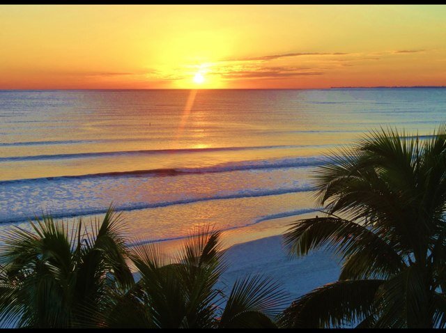 CandiceDonnelly's profile picture. 