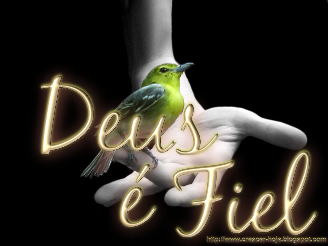 Deus é Maravilhoso ♥