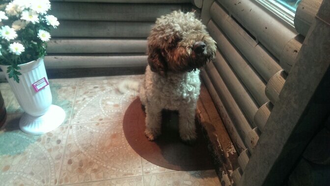 VrtiR's profile picture. 