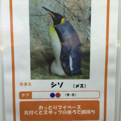 「待ってくれ俺は薬草を取りに来ただけだ」