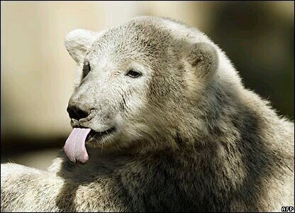 knuts05's profile picture. student of life