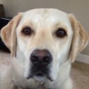 Robert Hansen - @rhansen161 - Twitter