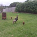 Michael Havlin - @mhavs1 - Twitter