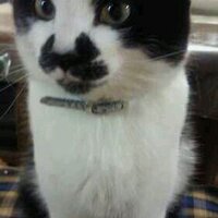ゆーゆー (@yuta_jr) 's Twitter Profile