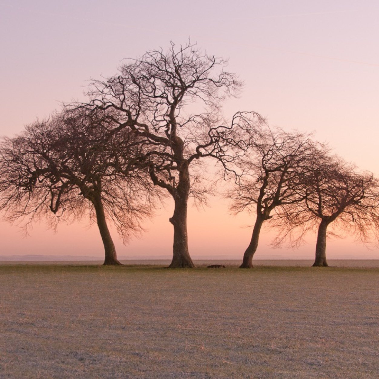 Oxfordshire based countryside manager trying to improve habitats and access to green spaces. Take a few photos and dabble in bookbinding.