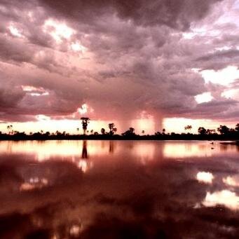 trofim202's profile picture. 