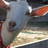 flow_nhoj's profile image