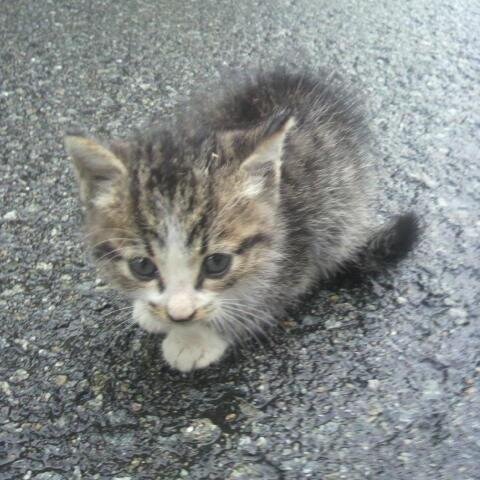 moob04270427's profile picture. 