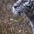 ecologico71's profile image