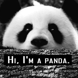 TEMPAT PROMOTENYA CLOSED AGENCY @pandaclsd
