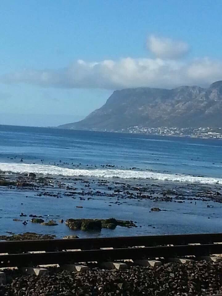 ashriya77's profile picture. I have fun because I am alive!