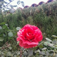 paula L' (@paula_pl96) 's Twitter Profile