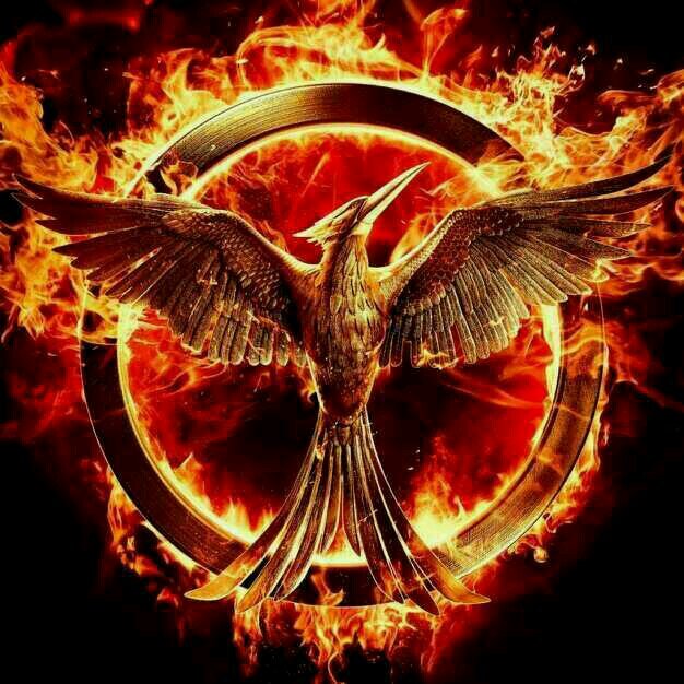''happy hunger games! and may the odds be ever in your favor''