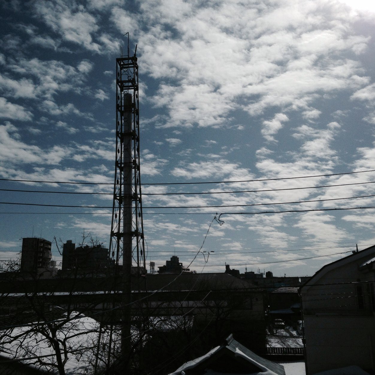 dakudakuabiruyo's profile picture. After Effects/Illustrator/CINEMA 4Dを使いこなしたい普段はデザイン学んでる大学生ウーマンです。色々します。映像の依頼お気軽に