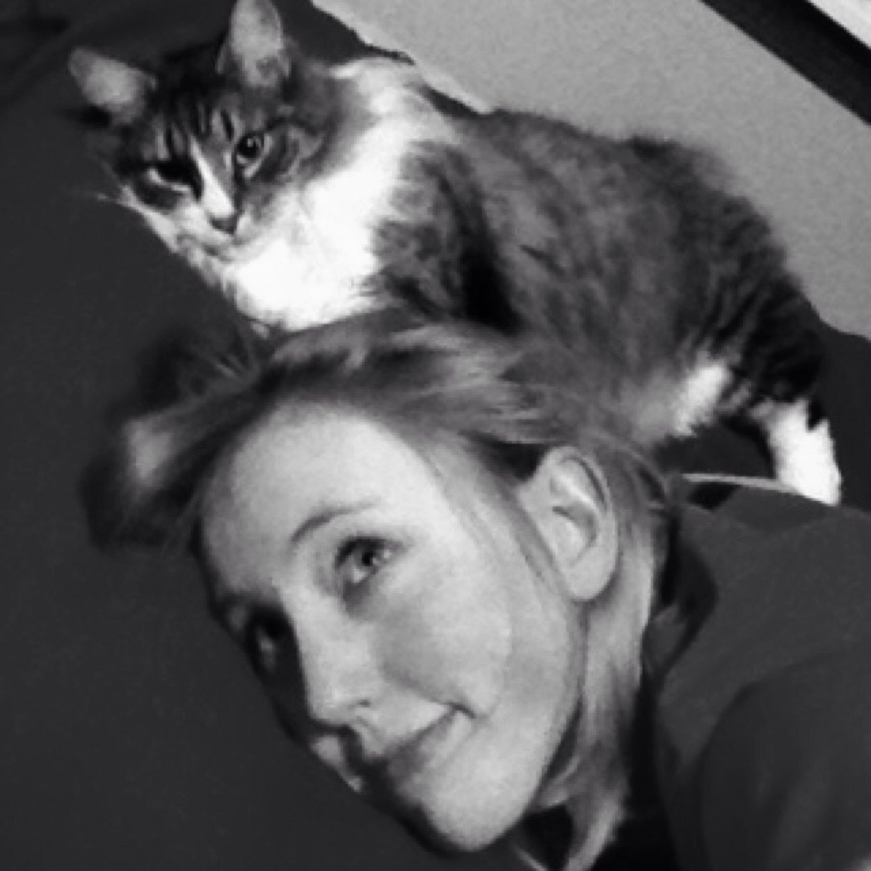 stay_truthfulbb's profile picture. 