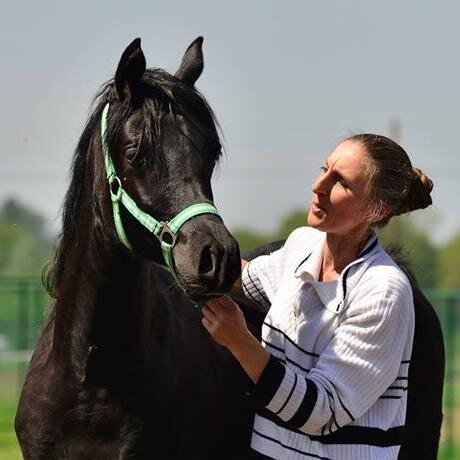 Makarim Arabians: your place for old strains, Straight Egyptian, Sheykh Obeyd, Russian in a natural habitat