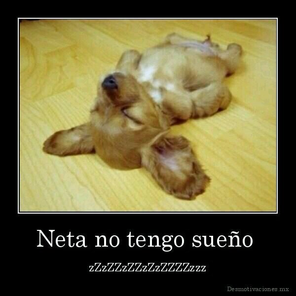 BrissaBri's profile picture. Escort