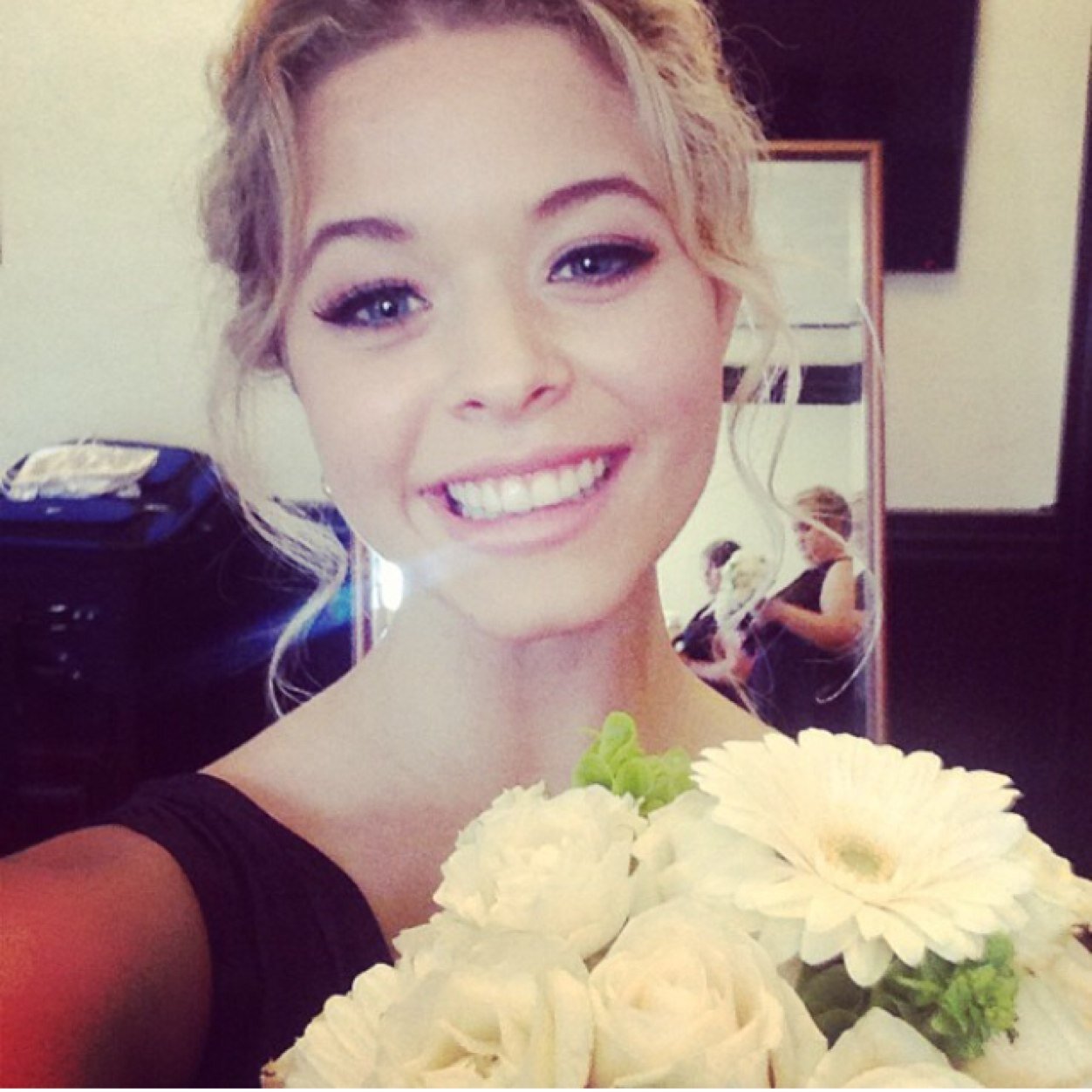 Anne Black Greengrass. Metamorfomaga. Sangre pura. Ex-Beauxbatons. Cazadora de Slytherin.