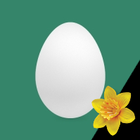 Lynne. Always European.πΊπ¦πͺπΊπ (@lynneacketts) 's Twitter Profile
