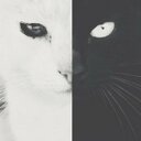 Liz Wiseman - @TheWiseLiz - Twitter