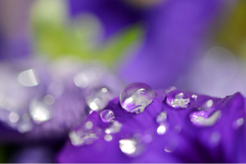 7fooga's profile picture. 근짱의 장어