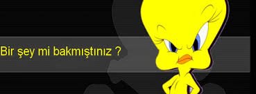 herşey yalan tek gerçek fenerbahçe