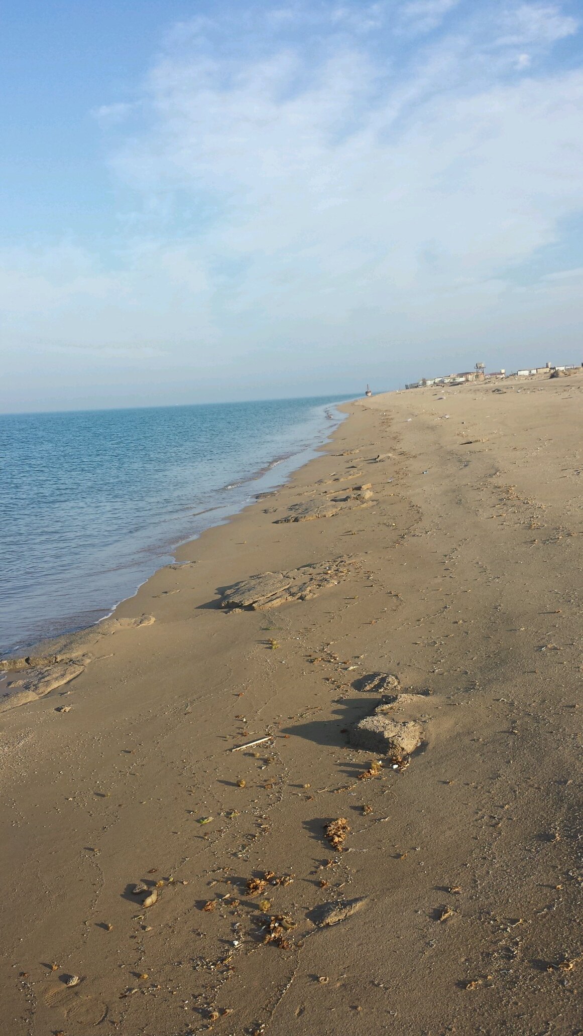 الفيلكاوي 🇰🇼