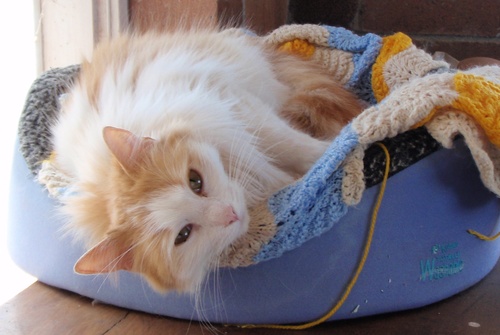 tussnelda's profile picture. hmmm. I love clog dancing