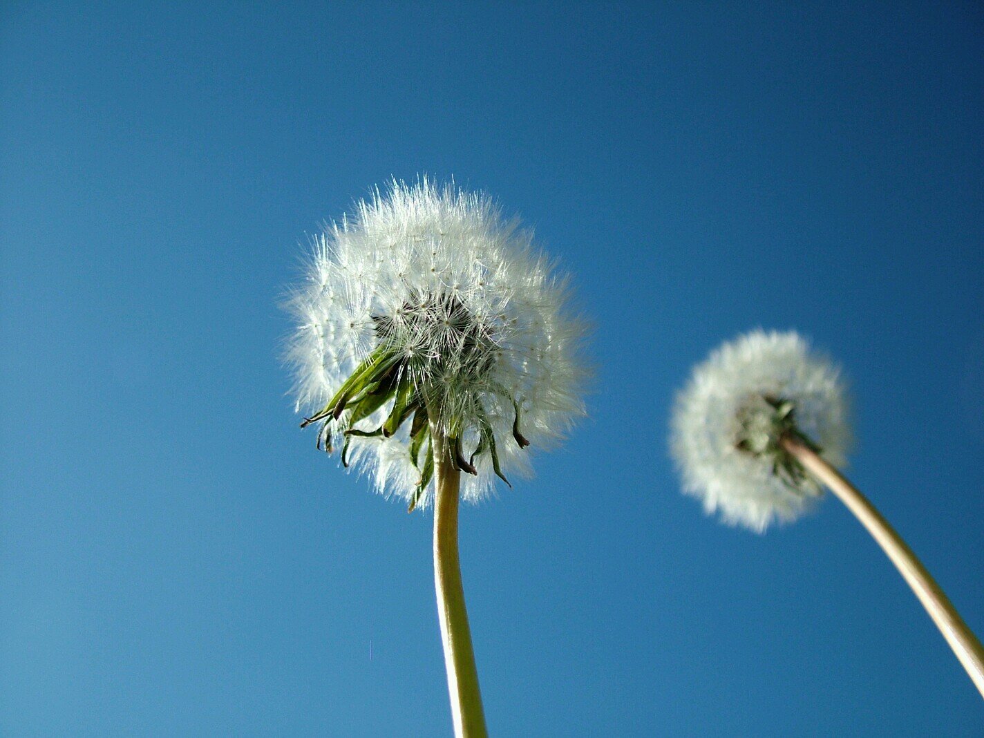 eirtec's profile picture. 