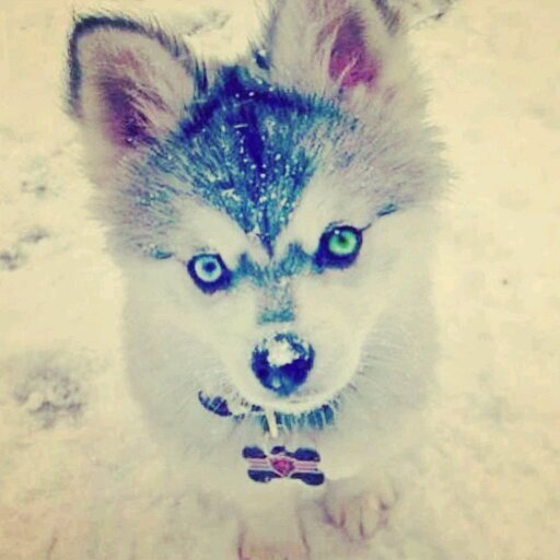 CodeDeFilles's profile picture. 