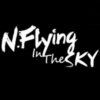 N.Flying In The SKY (@nf_inthesky) 's Twitter Profile